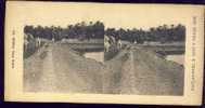 BISKRA       Stereo 1906 - Stereoscopes - Side-by-side Viewers