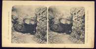 AMERICKA SLUJ,PRUCHOD DO BABINCE   Stereo 1906 - Stereoscopes - Side-by-side Viewers