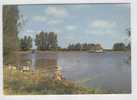 Aubigny-sur-Nere. Le Parc Des Sports.Le Bar Et Le Grand Lac. - Aubigny Sur Nere