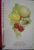 Folder Taiwan 1985 Fruit Stamps Bell Apple Guava Carambola Litchi Flora - Nuovi