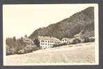 Austria Jenbach Tirol Gasthof Esterhammer Echt Real Photo Véritable - Jenbach