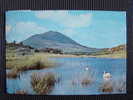 CPSM IRLANDE-Lake Scene With Swans,Letterfrack Connemara - Galway