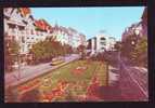 Romania TIMISOARA,POSTCARD  TRAMWAYS TRAM 1974,UNUSED. - Tranvías