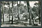 44 - SAINT- BREVIN - COTE DE JADE : Camping Sous Les Pins, Edit. Cap (circulée; 1957) Caravane - Saint-Brevin-les-Pins