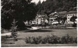 Duitsland/Deutschland, Herrenalb, Schwarzwald, Im Kurgarten, Ca. 1960 - Calw