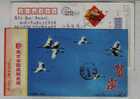 Red-crowned Crane Bird,China 2008 Nanjing National Tax Bureau New Year Greeing Pre-stamped Card - Kranichvögel