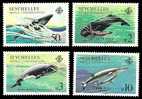 (019) Seychelles  Meerestiere / Marine Life / Animaux Marines / Whales / Baleines / Wale ** / Mnh  Michel 571-74 - Seychelles (1976-...)