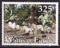 Wallis Et Futuna 2001 N 564  =  Neuf X X - Unused Stamps