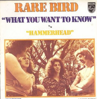 SP 45 RPM (7")  Rare Bird  "  What You Want To Know  " - Rock