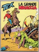Tex Gigante (Daim Press 1983) N. 276 - Tex