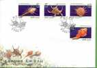 FDC Taiwan 2008 Seashell Stamps (II) Shell Marine Life Fauna - FDC