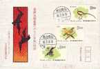 FDC Taiwan 1977 Birds Stamps Bird Oriole Kingfisher Jacana Fauna Resident - FDC