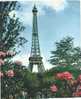 CPSM - Photo - Albert MONIER :La Tour Eiffel Vue Des Jardins Du Champ De Mars - 1962 - Monier