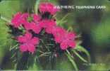 # KOREA MO9503109 China Pink 2000 Autelca 03.95 -fleurs,flowers- Tres Bon Etat - Corea Del Sur