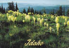 Idaho, Selkirk Mountains Of Nortern Idaho - Andere & Zonder Classificatie