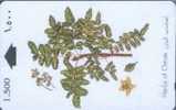 # OMAN 44 Herbs Of Oman  - Frannkincense 1,5 Gpt 01.95 -fleurs,flowers- Tres Bon Etat - Oman
