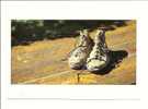 Paire De Chaussures, Photo Charly Wehrle (10-2094) - Arrampicata