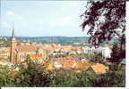 67 - BAS-RHIN - NIEDERBRONN LES BAINS - Vue Panoramique -  10,3 X 14,7 - Niederbronn Les Bains