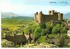 CP PAYS DE GALLES CHATEAU DE HARLECH EDWARD I° (PLI +ECRITURE SUR LE RECTO) - Merionethshire