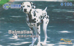 Télécarte Chine - ANIMAL Chien DALMATIEN  - DALMATIAN Dog China Phonecard - Hund Telefonkarte - 500 - China