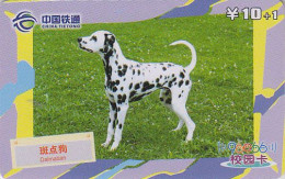 Télécarte Chine - ANIMAL Chien DALMATIEN  - DALMATIAN Dog China Phonecard - Hund Telefonkarte - 501 - Chine