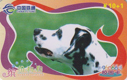 Télécarte Chine - ANIMAL - Chien DALMATIEN  - DALMATIAN Dog China Phonecard - Hund Telefonkarte - 503 - Chine