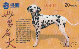 Télécarte Chine - ANIMAL - Chien DALMATIEN  - DALMATIAN Dog China Phonecard - Hund Telefonkarte - 504 - China