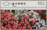 # TAIWAN 9999-1 Red & White Flowers 100 Landis&gyr  -fleurs,flowers- Tres Bon Etat - Taiwan (Formose)