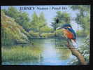 1555 Martin Pécheur Peche étang Rivière Lac Jonc Poule D´eau Alcedo Atthis Par Nick Parket Bloc 2001 Belgica - Protection De L'environnement & Climat