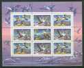 RUSSIA 1993 DUCKS MS MNH - Nuovi