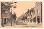 Willebroek Capt. Trippstraat Drukkerij L. Thomas Willebroek - Willebroek