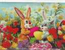 Zs3180 3D Card Cartes Stereoscopiques Nice Bunnies Not Used Perfect Shape - Stereoscope Cards