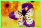 PAPILLON DANS LES FLEURS - - Mariposas