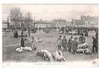 03 - MOULINS - Le Plan Des Bouchers - ( Marché Aux Porcs - Animée) - Mercados