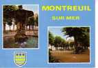 MONTREUIL  -  La Place Darnétal - 2 Vues - Blason - Montreuil