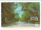 PO9311# NEW YORK - LONG ISLAND MAIN STREET  VG 1972 - Long Island