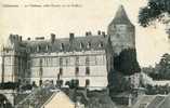 CHATEAUDUN  -  LE CHATEAU COTE OUEST VU DU GRIFFON - Droue