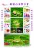 2010 KwanIn Mount Greeting Stamps Sheet (3-2)  Fauna Frog Lake - Frösche