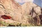 The Mineral Stained Walls Of Zion National Park, Utah - Zion