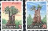 Taiwan 2000 Sacred Tree Stamps Forest Flora Plant - Ungebraucht