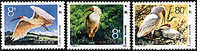 China 1984 T94 Crested Ibis Bird Stamps Fauna - Kranichvögel