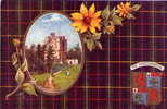 FANCY ART - Braemar Castle - Farquharson Tartan & Crest - Oilette PCd.- Aberdeenshire - Aberdeenshire