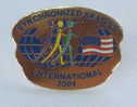 SYNCHRONIZED SKATING - USA 2001. Pin * Patinage Synchronisé Synchronisiertes Eislaufen Pattinaggio Sincronizzato - Wintersport