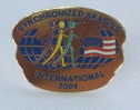 SYNCHRONIZED SKATING - USA 2001. Pin * Patinage Synchronisé Synchronisiertes Eislaufen Pattinaggio Sincronizzato - Sport Invernali