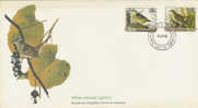 Niue-1985 Birds Commemorative Cover - Niue