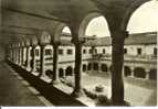 Tolentino (Macerata): Basilica Di S. Nicola - Chiostro. Lotto 2 Cartoline B/n Anni '50. - Macerata