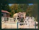 CPSM - Ermenonville (60) -  Zoo Jean Richard - Les éléphants  ( Mer De Sable Animée éléphant Imp. Interlude ) - Ermenonville