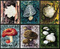 China 1981 T66 Edible Mushrooms Stamps Fungi Fungus Food Flora - Ungebraucht