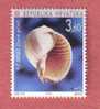 COQUILLAGE Tonna Galea ( Croatie MNH** ) Seashell Coquille Sea Shells Coquilles Seashells Shell Concha Snail Escargot - Conchas