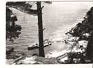 Delcampe - 83 Le PRADET  * Le Pin De Galle * Belle Carte, Cachet De 1962 - Le Pradet
